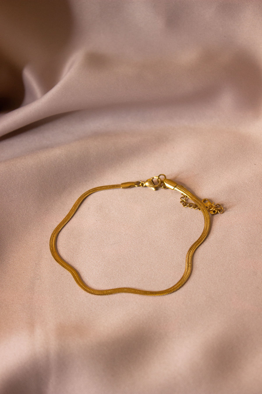 Thin Snake Chain Anklet