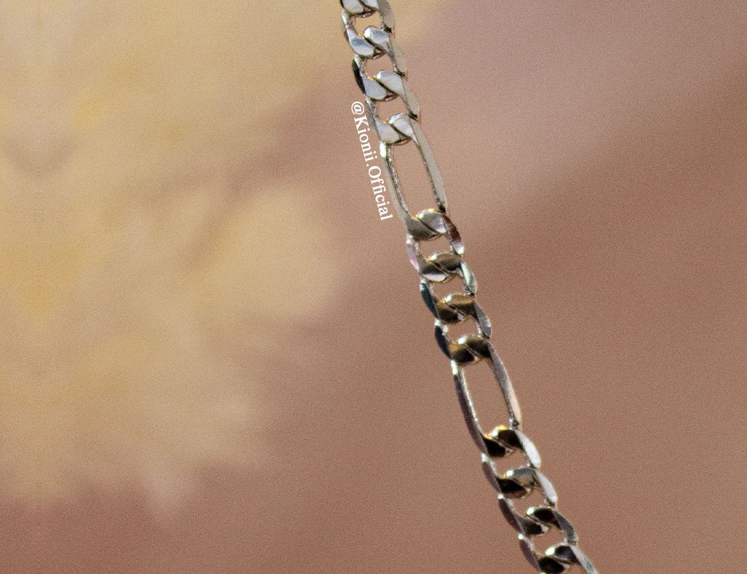 Silver Looped Chain